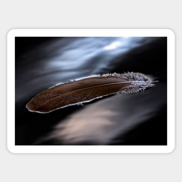 A Feather Floating on a Cold Lake Sticker by jecphotography